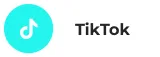 tiktok integrations